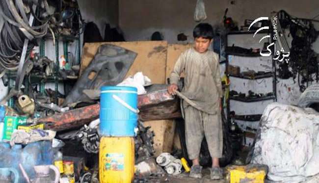 Lawmakers Urge Govt. to Pay Attention to Child Labor 